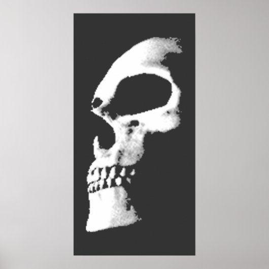 skullfade poster (Voorkant)