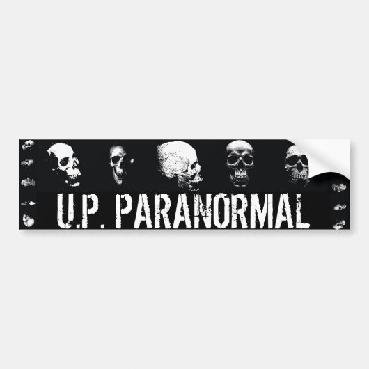 Skulls - Bumpersticker (Voorkant)