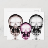 Skulls met gemengde röntgenstraling briefkaart (Voorkant / Achterkant)