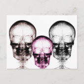 Skulls met gemengde röntgenstraling briefkaart (Voorkant)