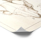 Skulls of Mammals Veterinary Anatomy Print (Hoek)