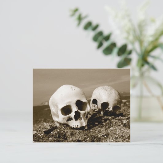 Skulls op de Punuk Islands shore, Bering Zee Briefkaart (Staand voorkant)