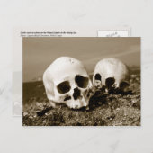 Skulls op de Punuk Islands shore, Bering Zee Briefkaart (Voorkant / Achterkant)