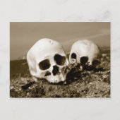 Skulls op de Punuk Islands shore, Bering Zee Briefkaart (Voorkant)