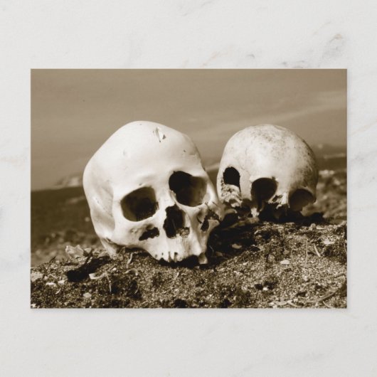 Skulls op de Punuk Islands shore, Bering Zee Briefkaart (Voorkant)