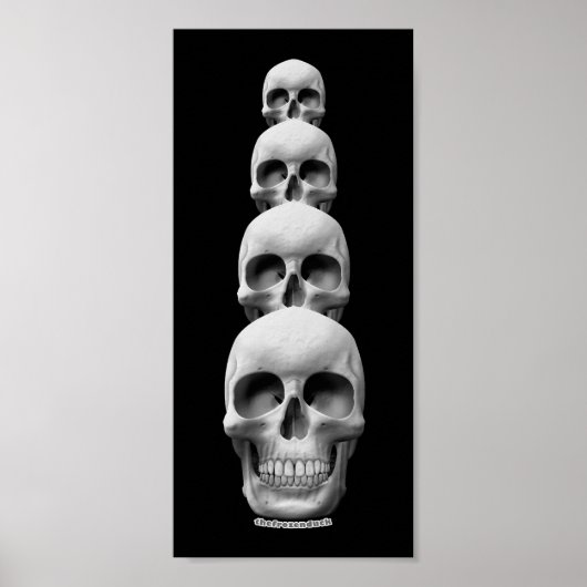 Skulls - verticaal poster (Voorkant)