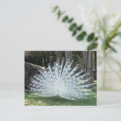 Skully Top Fun Briefkaart (Staand voorkant)