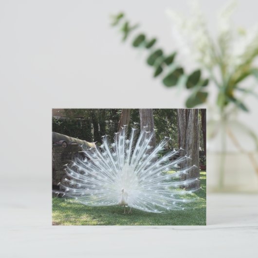 Skully Top Fun Briefkaart (Staand voorkant)