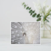 Skully Top Fun Briefkaart (Staand voorkant)