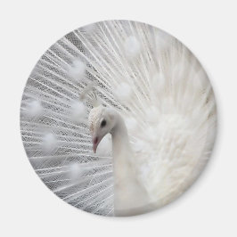 Skully Top Fun Magneet