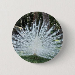 Skully Top Fun Ronde Button 5,7 Cm