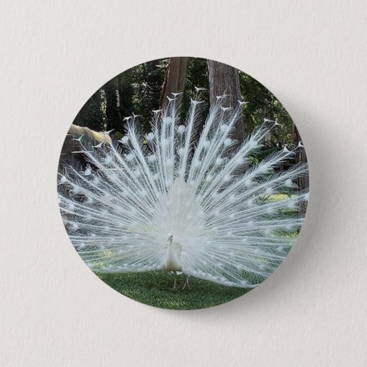 Skully Top Fun Ronde Button 5,7 Cm (Voorkant)