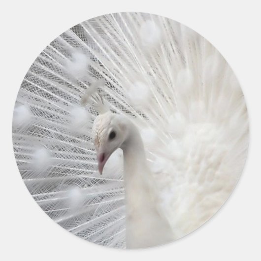 Skully Top Fun Ronde Sticker (Voorkant)