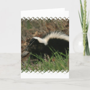 Skunk Behavior Wenskaart Kaart