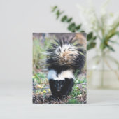 Skunk Black and White Briefkaart (Staand voorkant)
