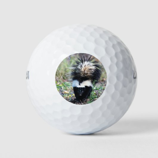 Skunk Black and White Golfballen (Voorkant)