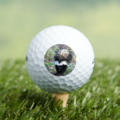 Skunk Black and White Golfballen (Insitu Shirt)