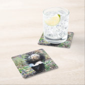 Skunk Black and White Kartonnen Onderzetters (Insitu)