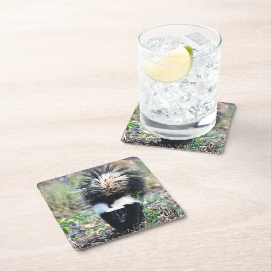 Skunk Black and White Kartonnen Onderzetters (Insitu)