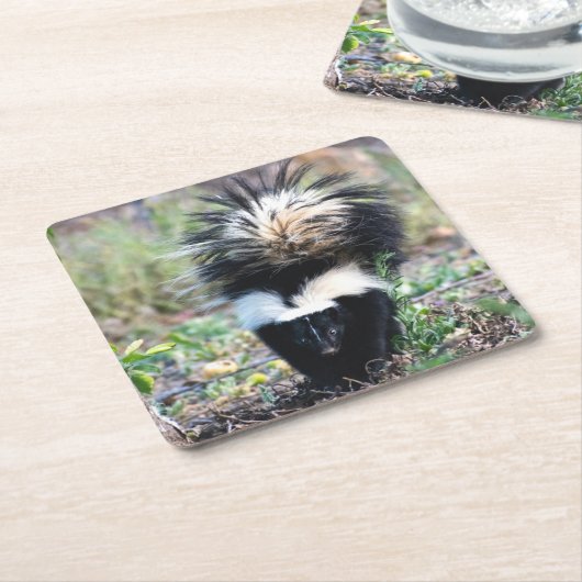 Skunk Black and White Kartonnen Onderzetters (Schuin)