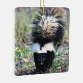 Skunk Black and White Keramisch Ornament (Rechts)