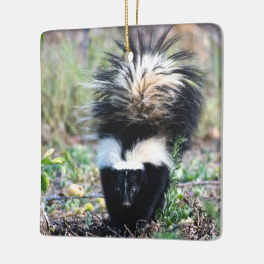 Skunk Black and White Keramisch Ornament (Links)