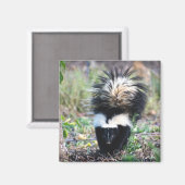 Skunk Black and White Magneet (Voorkant / Achterkant)