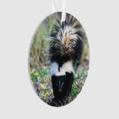 Skunk Black and White Ornament (voorkant)
