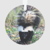 Skunk Black and White Ornament (achterkant)