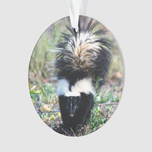 Skunk Black and White Ornament (voorkant)