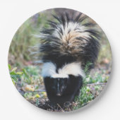 Skunk Black and White Papieren Bordje (Voorkant)