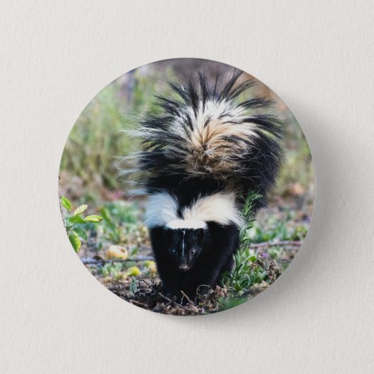 Skunk Black and White Ronde Button 5,7 Cm (Voorkant)