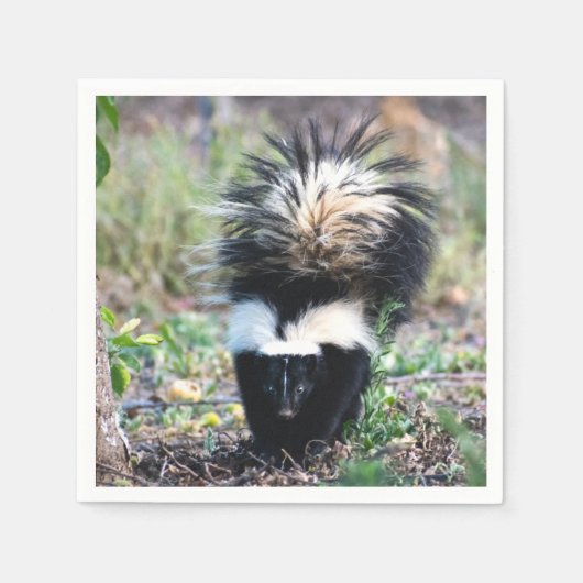 Skunk Black and White Servet (Voorkant)