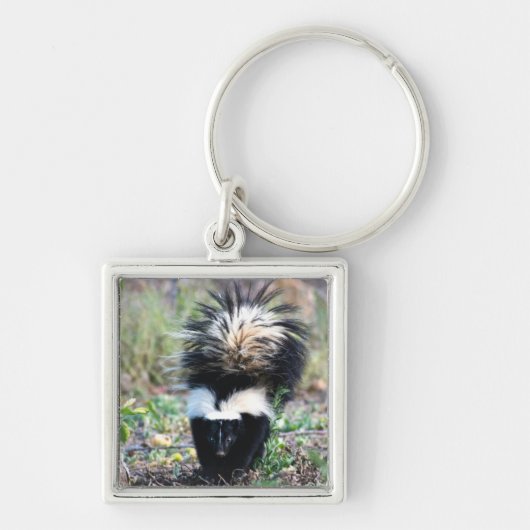Skunk Black and White Sleutelhanger (Voorkant)
