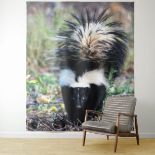 Skunk Black and White Wandkleed