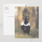 Skunk Briefkaart (Voorkant / Achterkant)