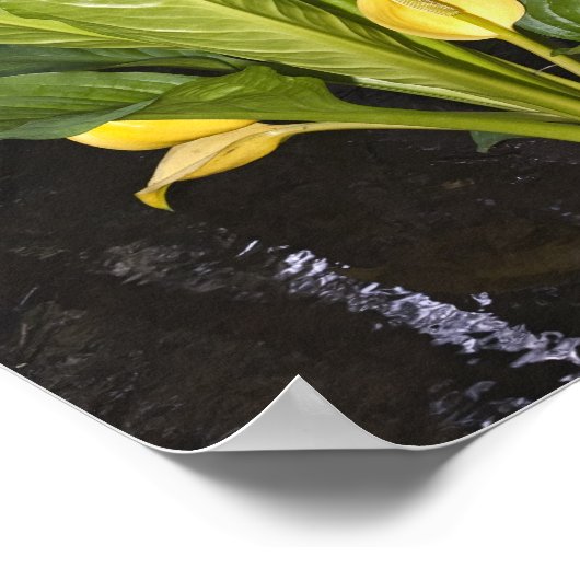 Skunk Cabbage - Kunstprint Poster (Hoek)