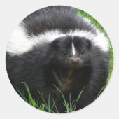 Skunk Foto Sticker (Voorkant)
