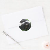 Skunk Foto Sticker (Envelop)