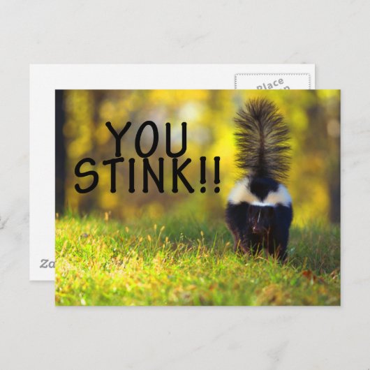 Skunk je stinkt briefkaart (Voorkant / Achterkant)