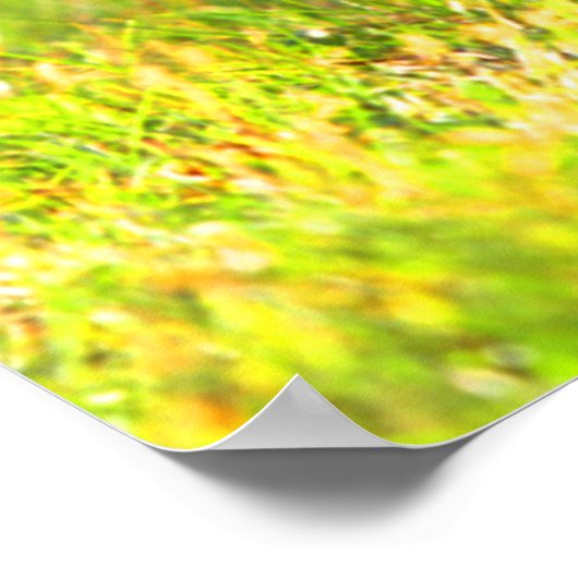 Skunk je stinkt poster (Hoek)