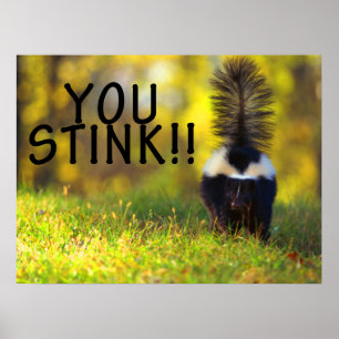 Skunk je stinkt poster