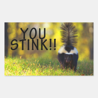 Skunk je stinkt rechthoekige sticker
