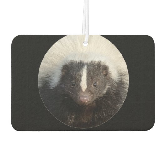 Skunk Luchtverfrisser (Achterkant)