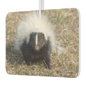 Skunk Luchtverfrisser (Links)