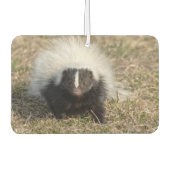 Skunk Luchtverfrisser (Voorkant)