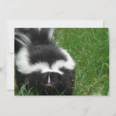 Skunk op uitnodiging (Voorkant)