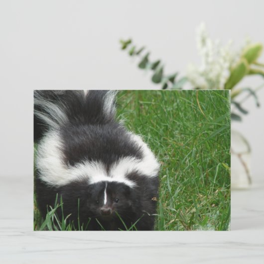 Skunk op uitnodiging (Staand voorkant)