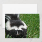 Skunk op uitnodiging (Voorkant / Achterkant)