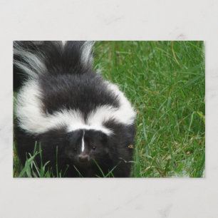 Skunk op uitnodiging
